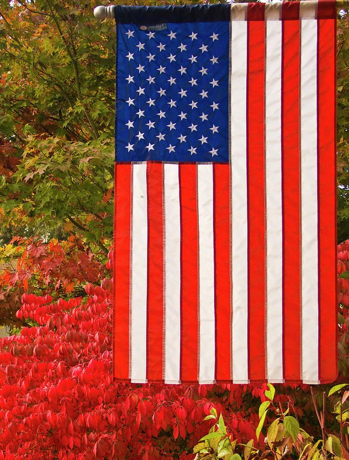 Flag Photograph - Old Glory by Ron Roberts