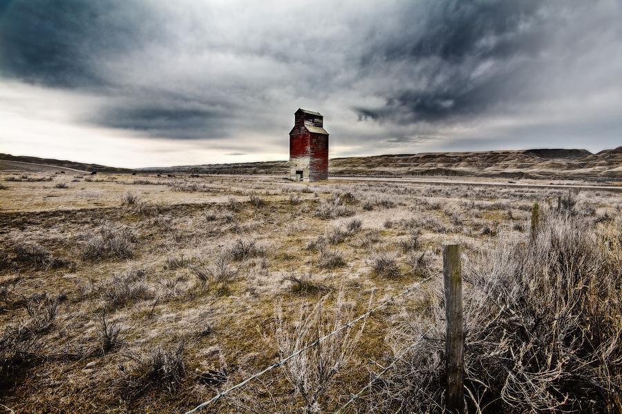 Nature Photograph - Old Grain Elevator, Dorothy, Alberta by Steve Nagy