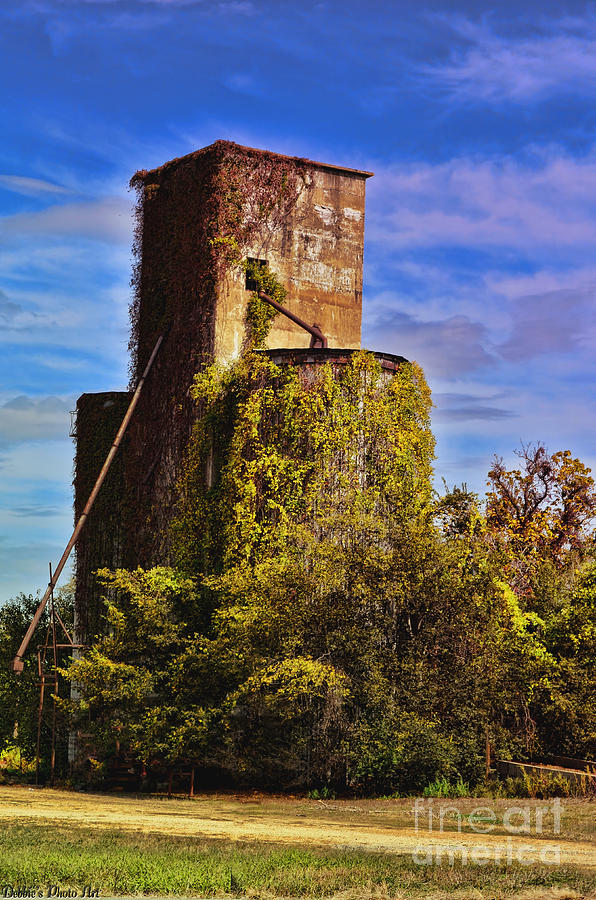 Old Grain Silo with vines Photograph by Debbie Portwood