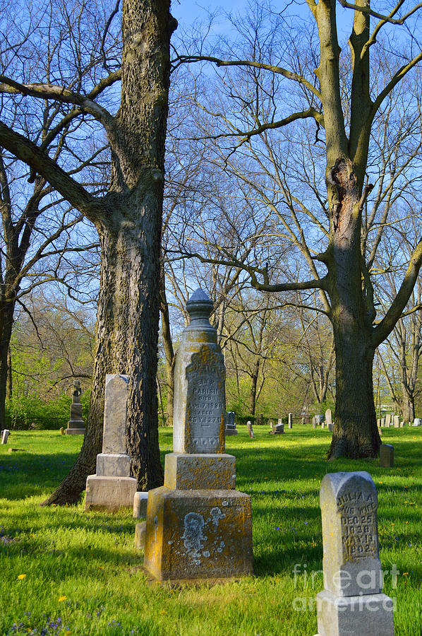 Old Gravestones Photograph by Alys Caviness-Gober