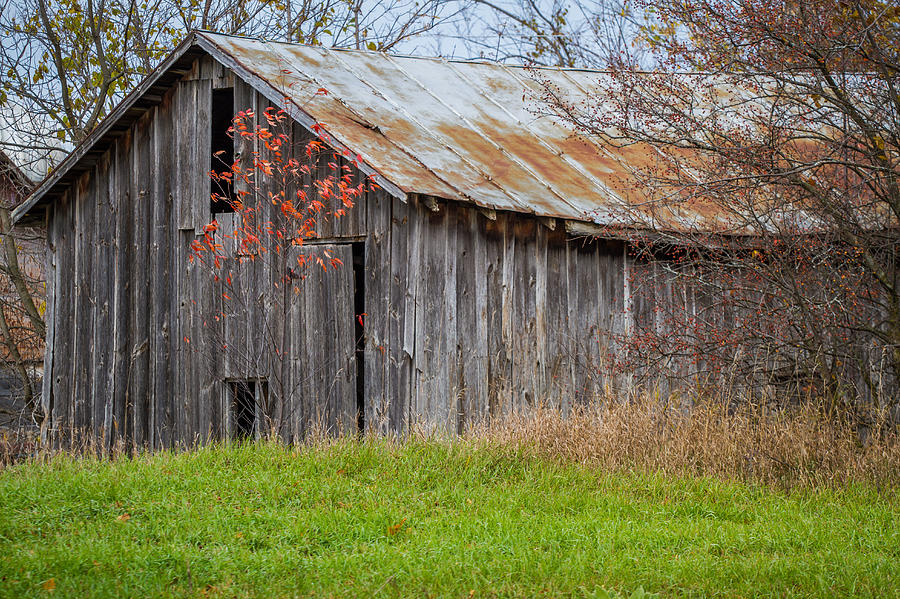 Old Gray Barn Photograph By Toni Thomas Fine Art America