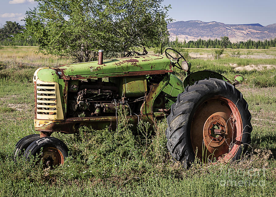 Old Green Tractor Photograph by Janice Pariza