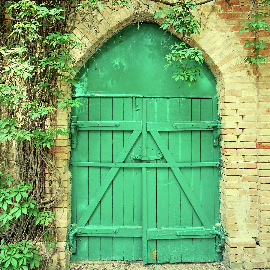 Old Green Wooden Gate Photograph by Innafelker