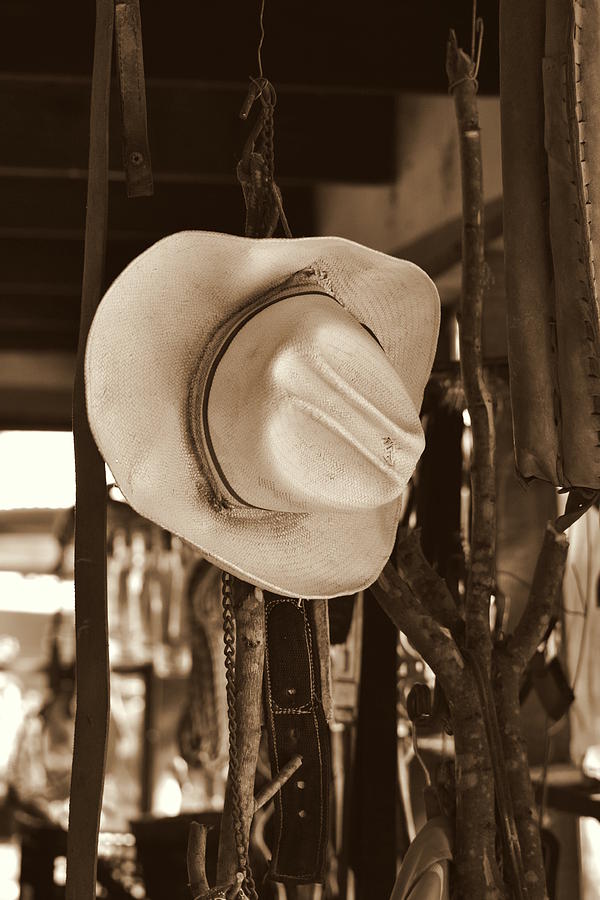 Horse Photograph - Old Hat by Juan Gabriel Maldonado