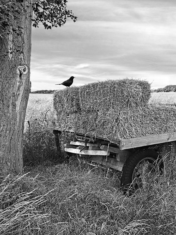 Old Hay Wagon in Black and White Vertical Photograph by Gill Billington
