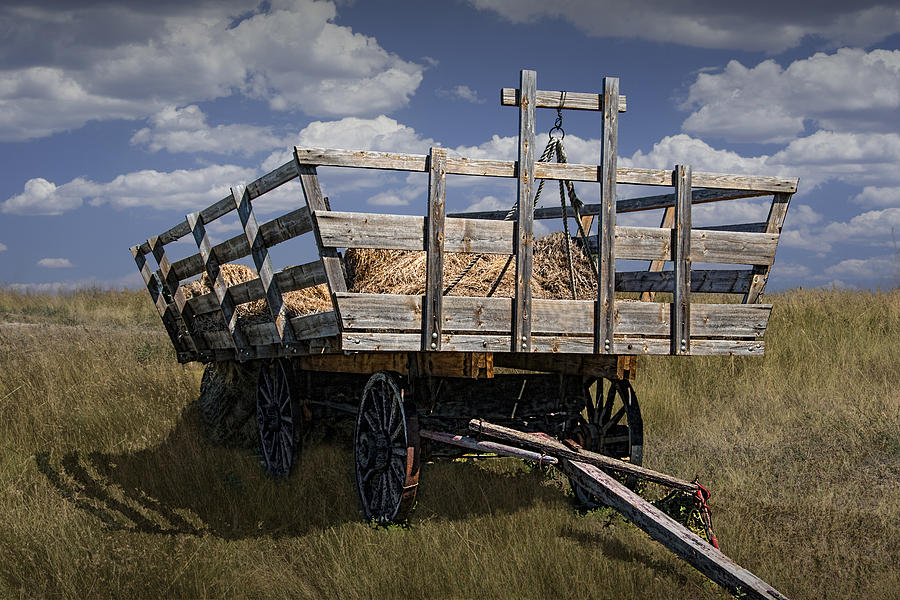 Old Hay Wagon in the Prairie Grass Photograph by Randall Nyhof