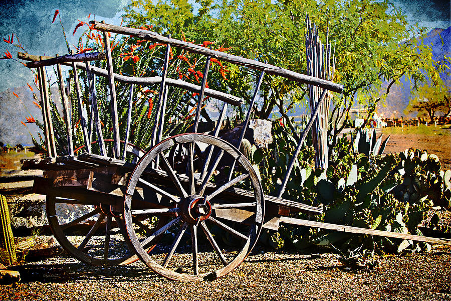 Old Hay Wagon Photograph by Phyllis Denton