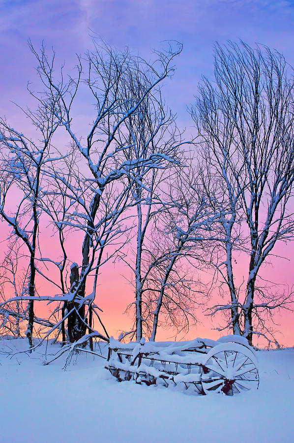 Old Hayrake - Winter Sunset Photograph by Nikolyn McDonald