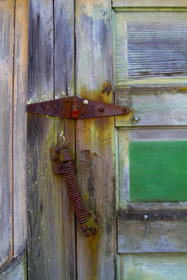 Old Hinge Spring Photograph by Rebecca Cozart