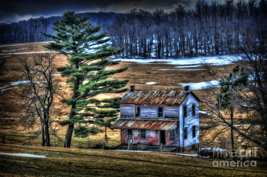 Old Home Place Beside Pine Tree Photograph by Dan Friend