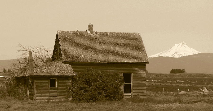Old Homestead Photograph by Angie Vogel