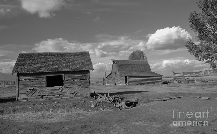 Old Homestead Photograph