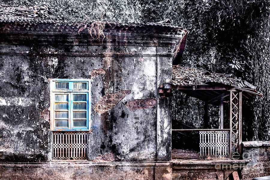 Tree Photograph - Old House Goa by Catherine Arnas