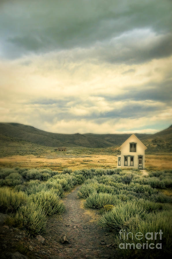 Old House in Sage Brush Photograph by Jill Battaglia