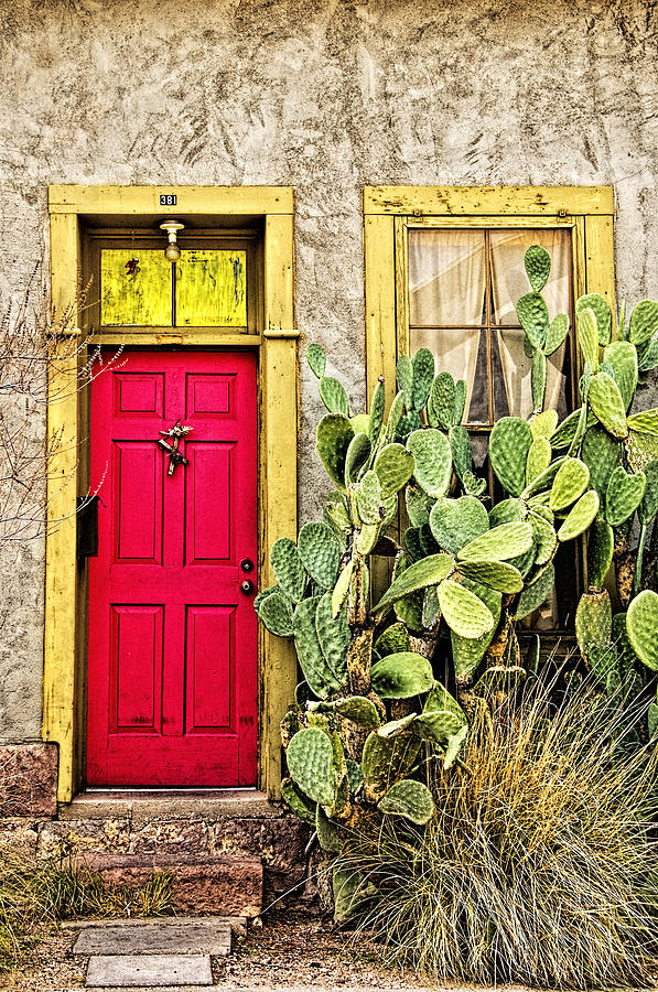 Red Door #2 Photograph by Maria Coulson