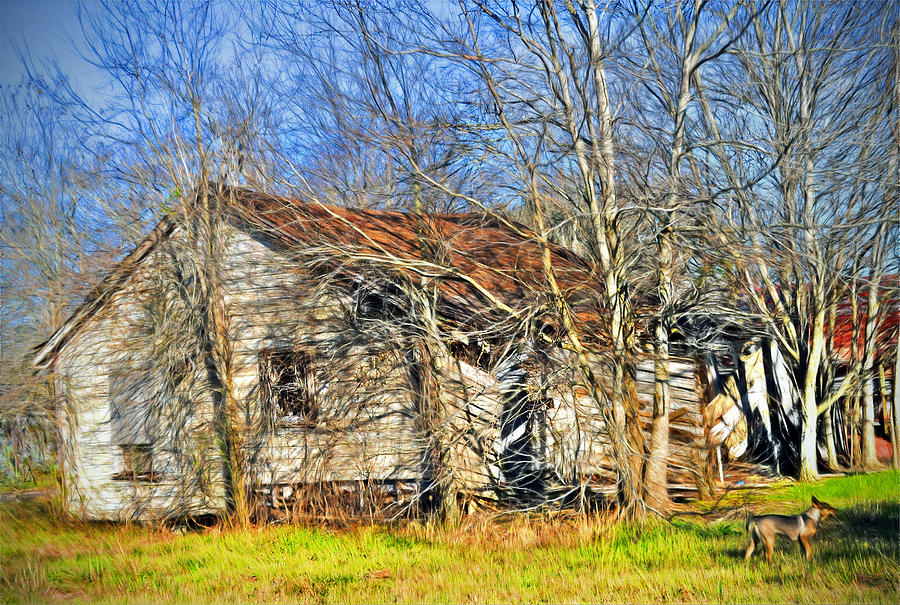 Old House Photograph by Savannah Gibbs