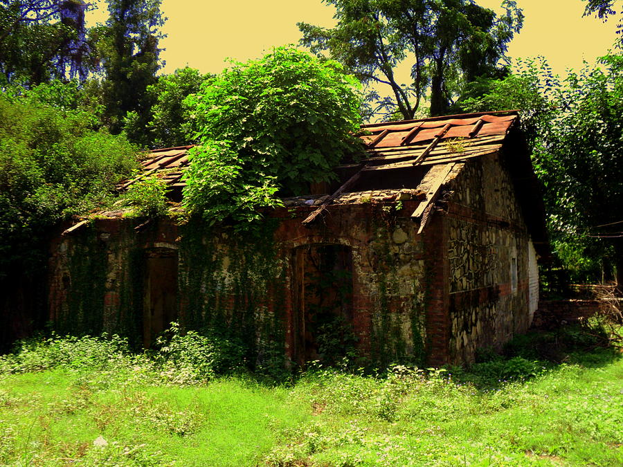 Old Hut Photograph by Salman Ravish