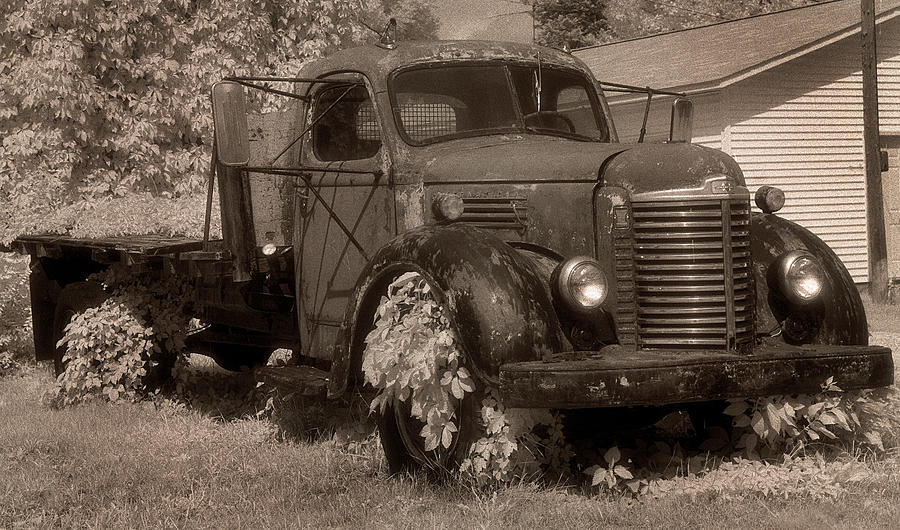 Old International Truck Photograph by Jamieson Brown