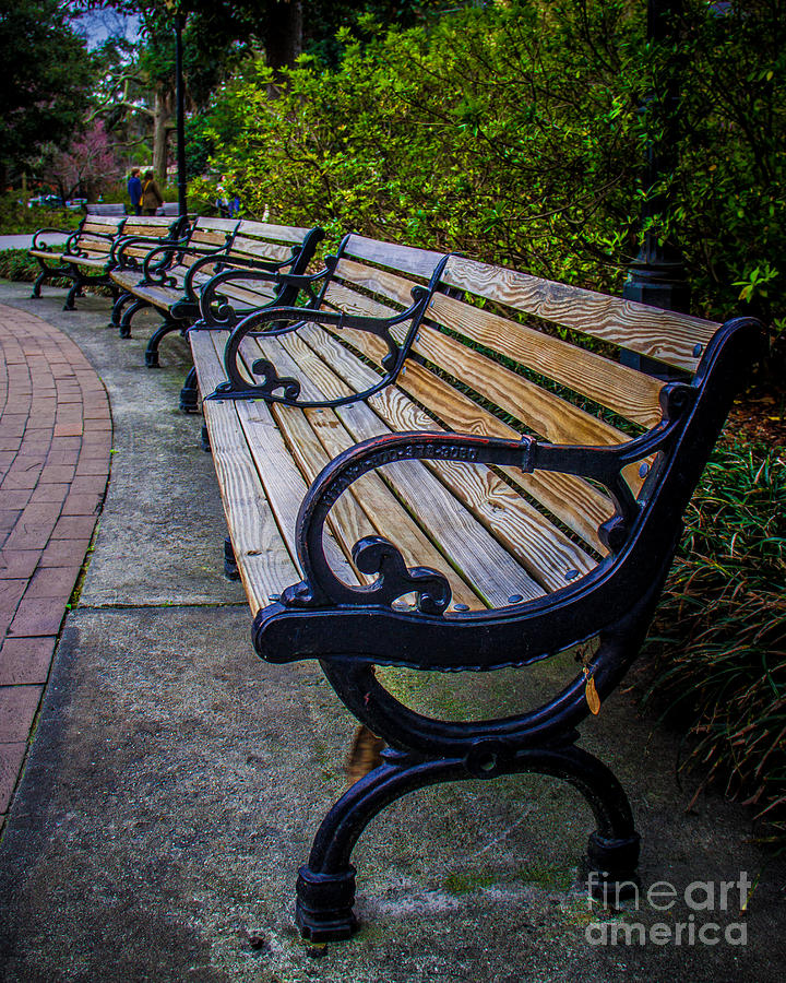 Old Iron Bench Photograph by Perry Webster