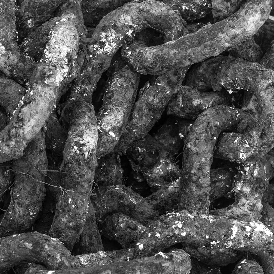 Old Iron Chains Photograph by Kyle Lee