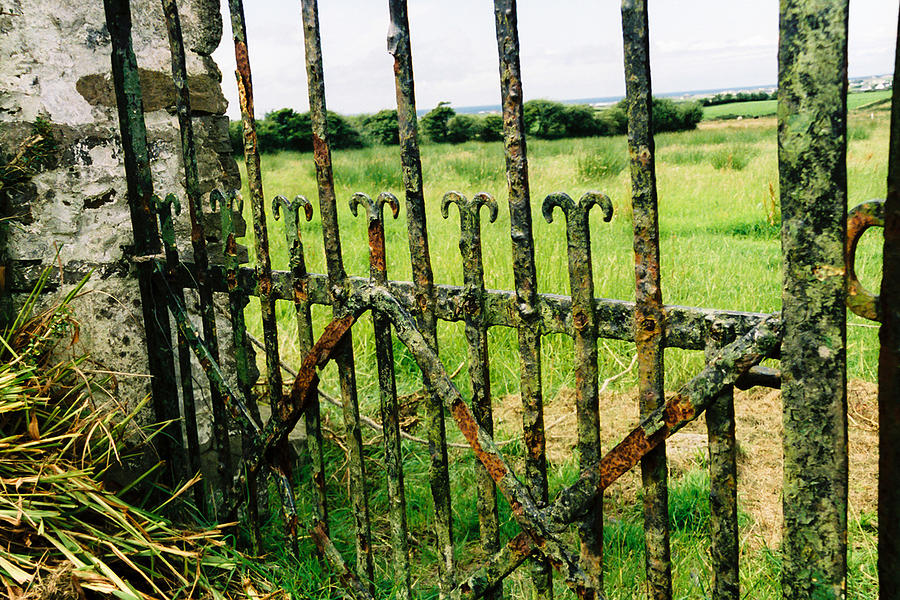 Old Iron Gate Photograph by MaryGail Perkins - Fine Art America