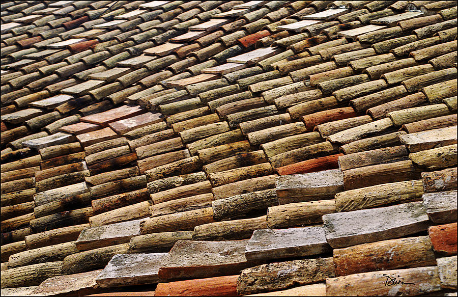 Old Italian Roof Photograph by Peggy Dietz