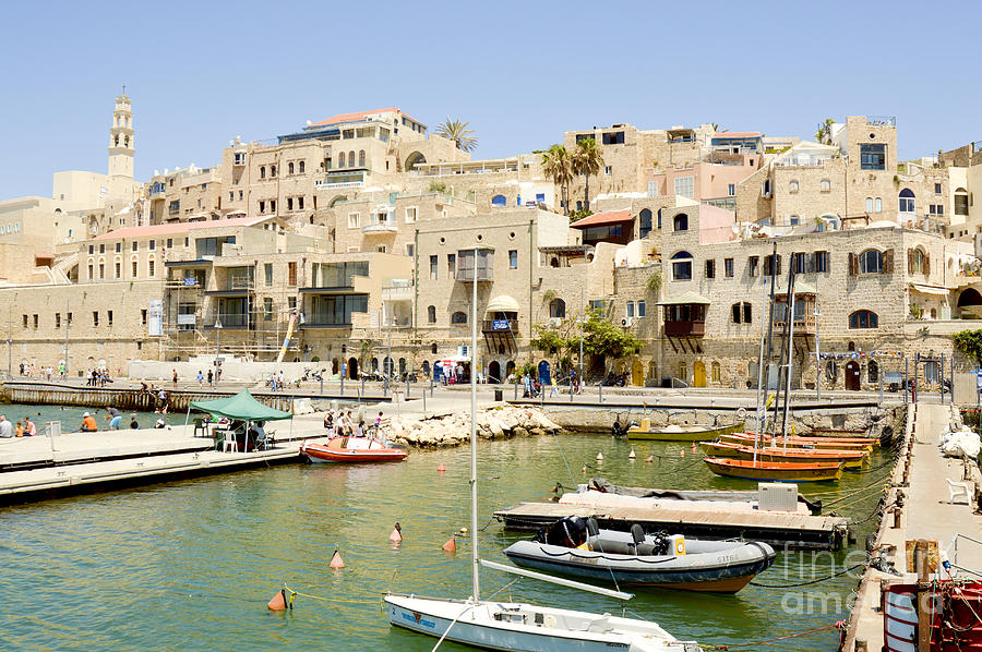 Old Jaffa Port Photograph by Tomi Junger