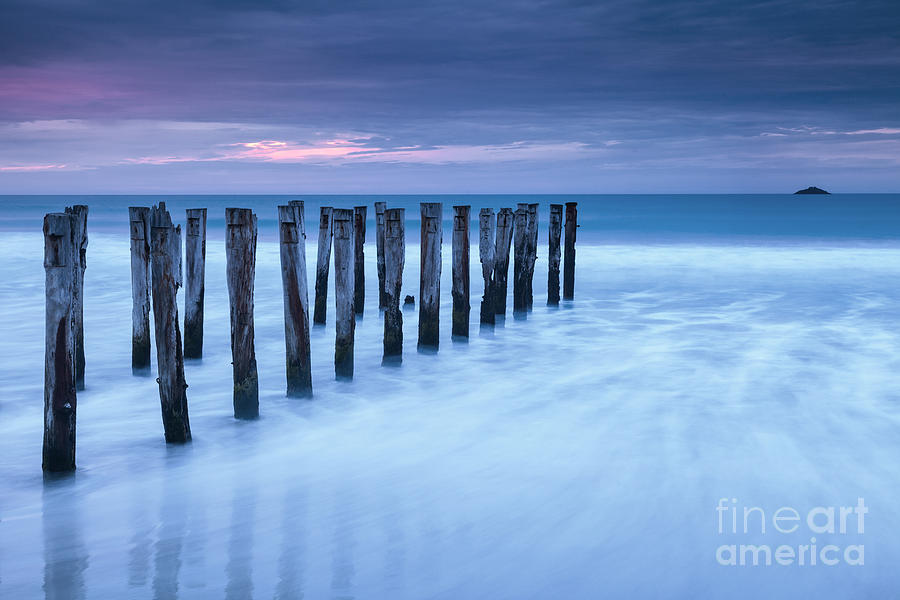 Landscape Photograph - Old Jetty Pilings Dunedin New Zealand by Colin and Linda McKie
