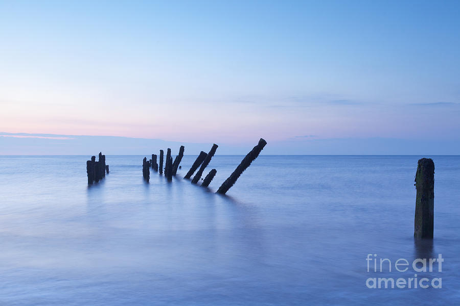 Nature Photograph - Old Jetty Posts at Sunrise by Colin and Linda McKie