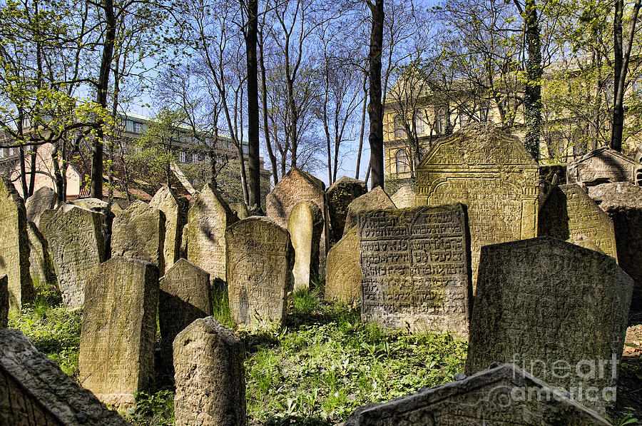 Old Jewish Cemetery Photograph by Brenda Kean