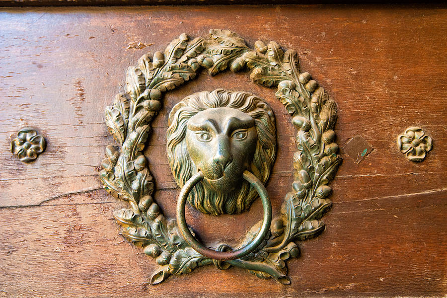 Old lion head doorknocker in Prague Photograph by Matthias Hauser