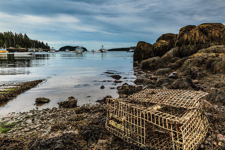 Old Lobster Trap Photograph by Ben Graham