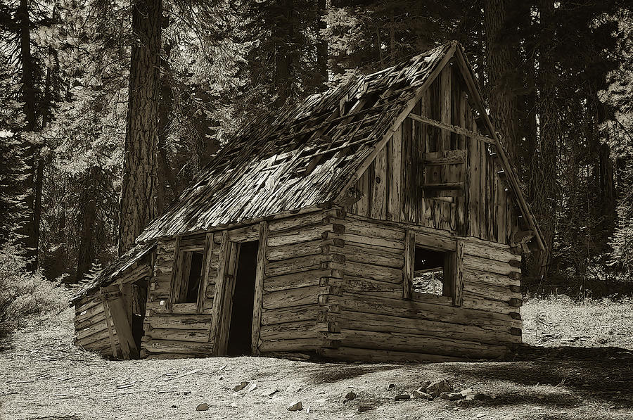 Old Log Cabin Photograph by Sherri Meyer