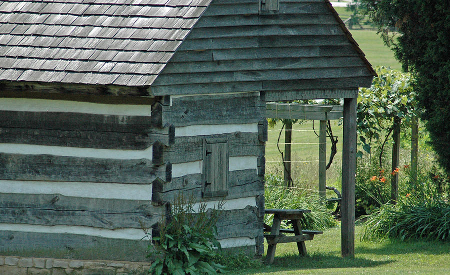 Old Log Cabin with Grape Vine Photograph by Bruce Gourley