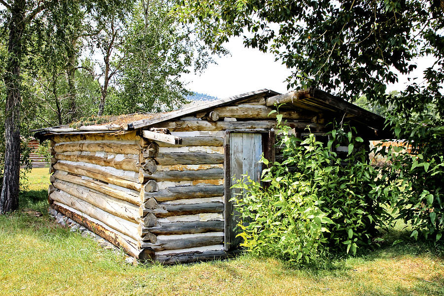 Old Log Homestead III Photograph by Athena Mckinzie