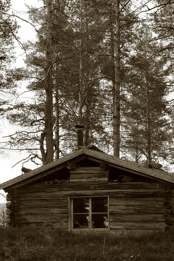 Old log house in a forest - monochrome - available for licensing Photograph by Ulrich Kunst And Bettina Scheidulin