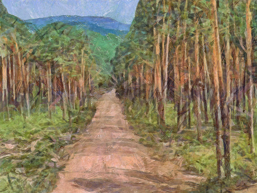 Old Logging Road Digital Art by Digital Photographic Arts