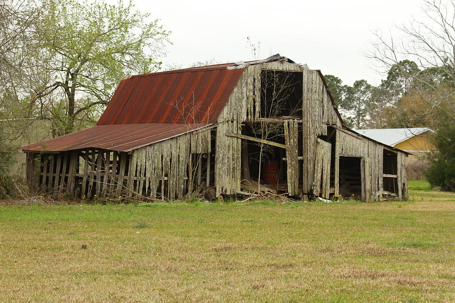 Old Louisiana Barn Photograph by Ronald Olivier - Fine Art America