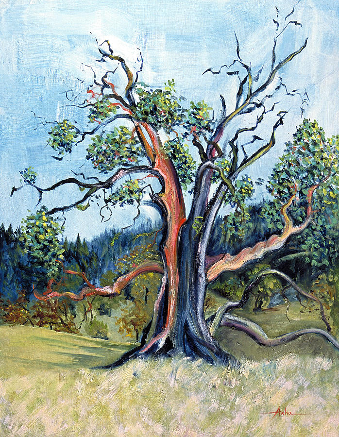 Old Madrone Tree in November  Painting by Asha Carolyn Young
