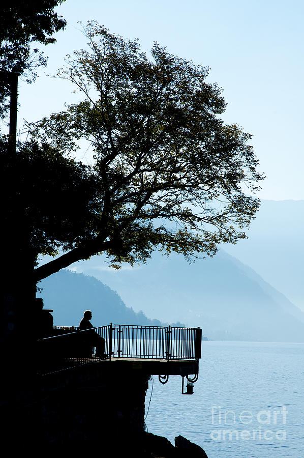 Old Man Sitting In Shade Of Tree Overlooking Lake Como Photograph by Peter Noyce
