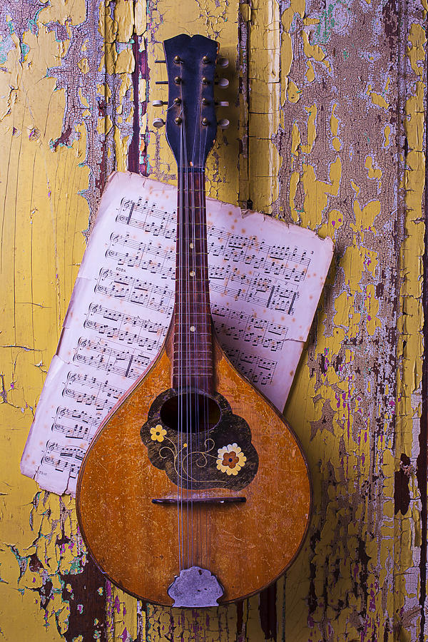 Old Mandolin With Sheet Music Photograph by Garry Gay