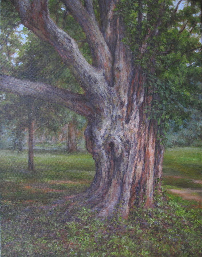 Old Maple Painting by Stephen Howell