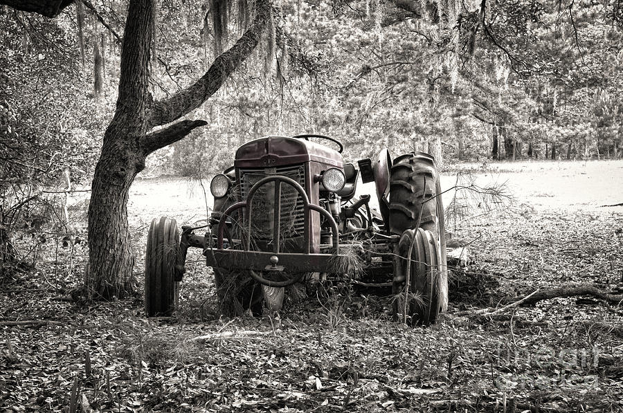 Old Massey Ferguson Tractor Photograph by Scott Hansen