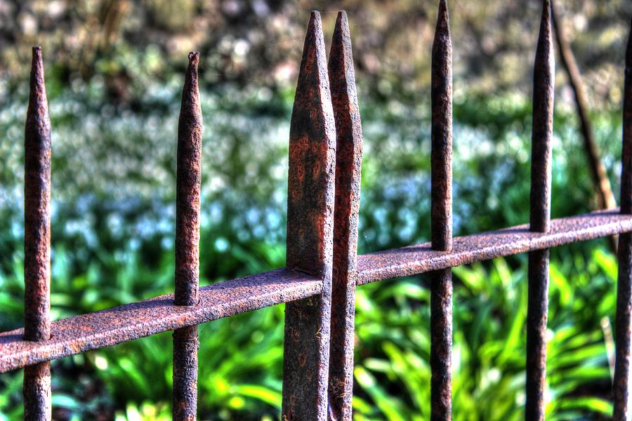 Metal Fence Photograph - Old Metal Fence in Winchester by Peggy Berger Metal Fence Photograph - Old Metal Fence in Winchester by Peggy Berger