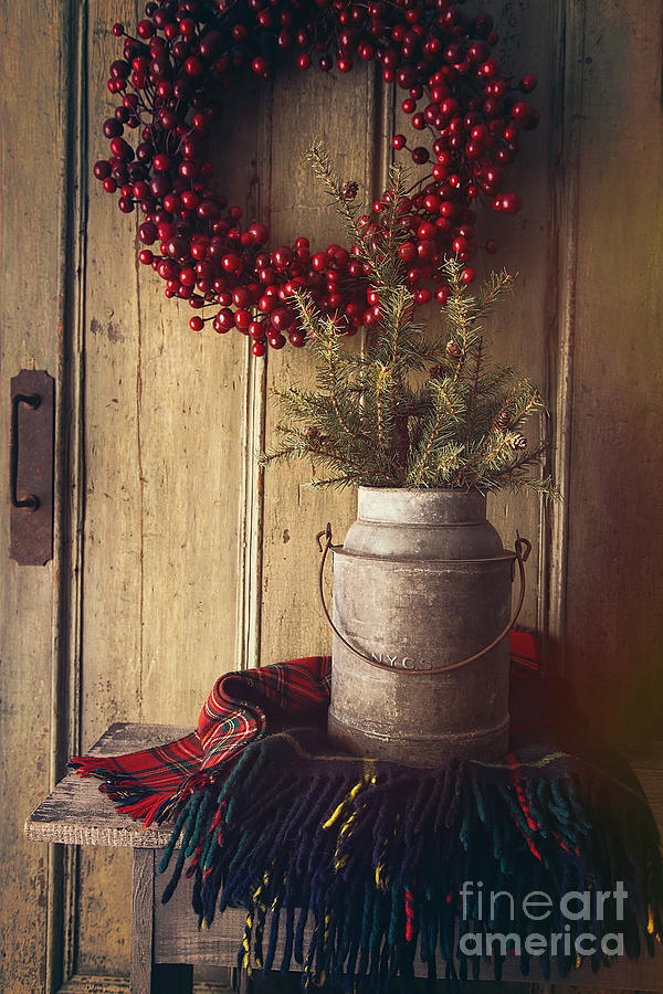 Old milk bucket with pine tree and plaid blanket on bench Photograph by Sandra Cunningham