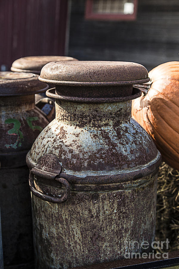 Old Milk Cans Photograph by Edward Fielding