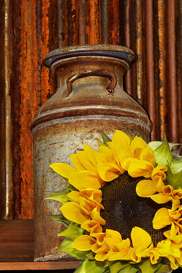 Old Milk Pail And Sunflower Photograph by Phyllis Denton