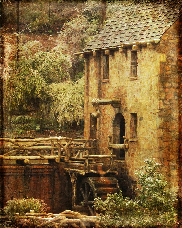 Old Mill 8x10 Photograph by Karen Beasley