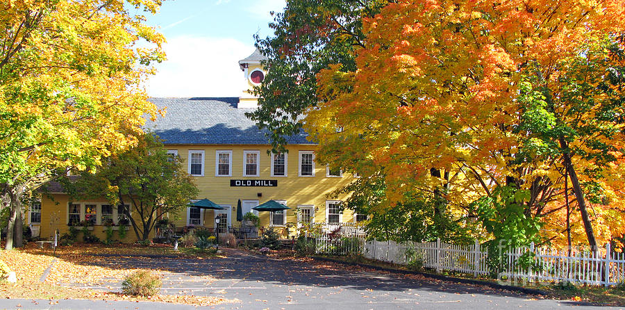 Old Mill Bed and Breakfast  0219 Photograph by Jack Schultz