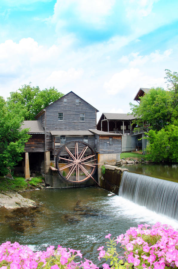 Old Mill Photograph - Old Mill Flowers by Mark Bowmer